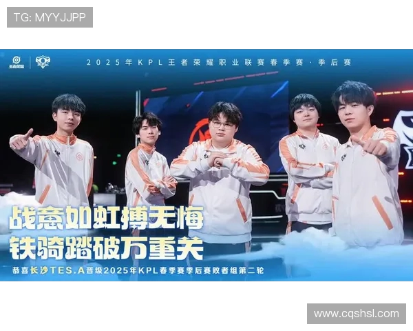 王者荣耀专题深度解析TES战队的比赛经验与战术策略分享