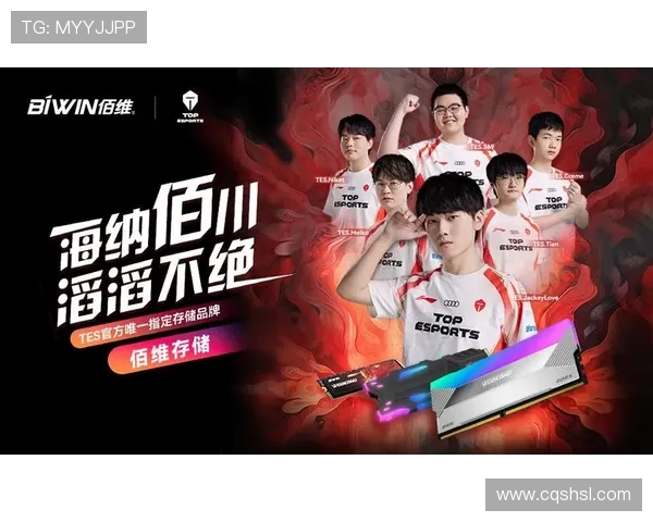 独家解析：TES战队配合策略与其他战队的深度对比分析