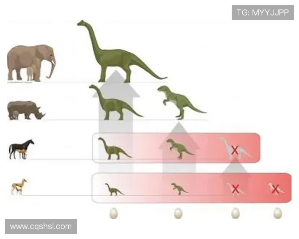 赛后分析：重庆网球队与西安网球队的协作与战术对比探讨