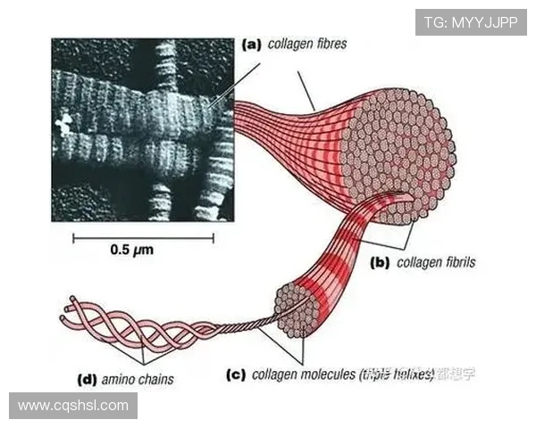 于德豪的创新之路：从科技创业到行业领军者的成长历程
