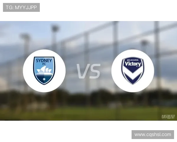 墨尔本胜利对阵首尔FC精彩视频回顾与赛后分析