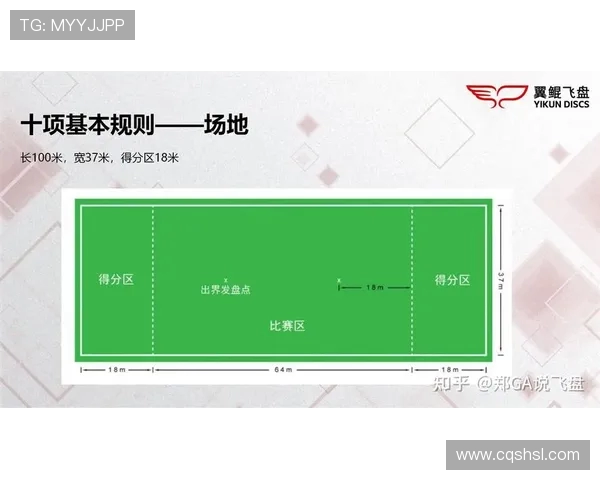 杭州飞盘队比赛经验分享与提升策略探讨之旅