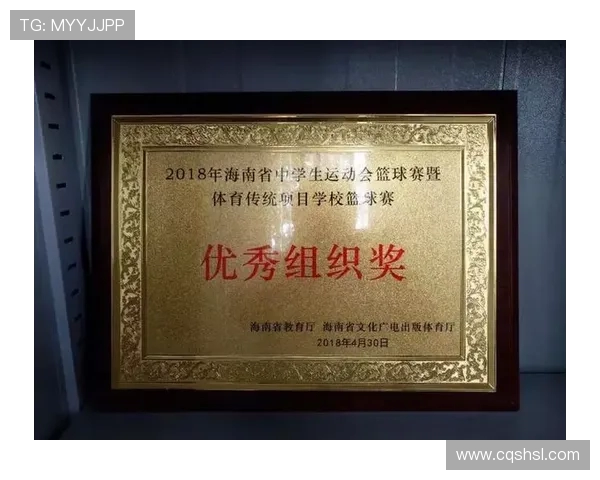 武汉篮球队灵活性分析及其在联赛中的表现评估与启示